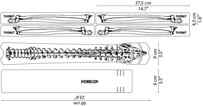 Black / Vector