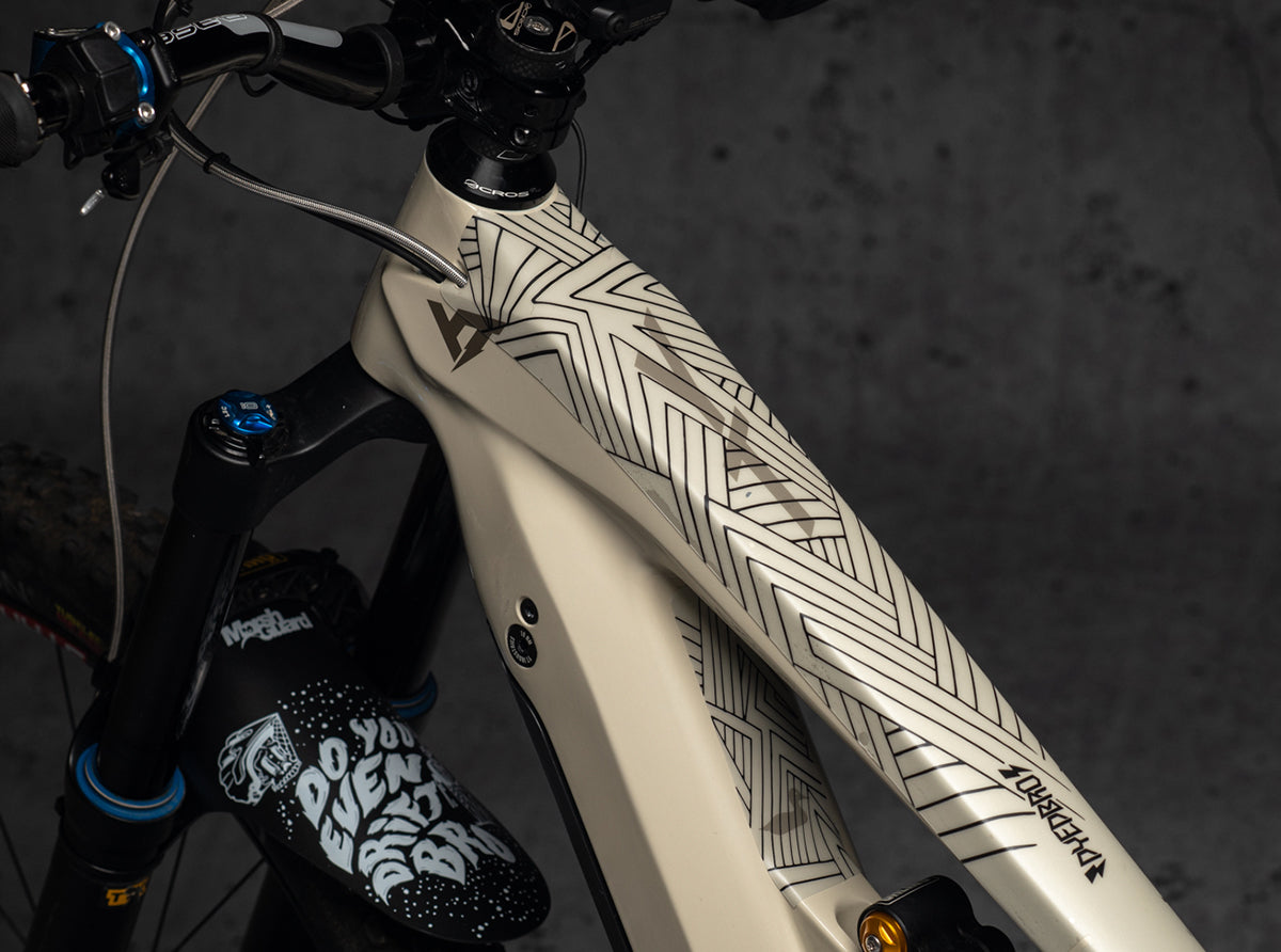 Stay Free e-Bike
