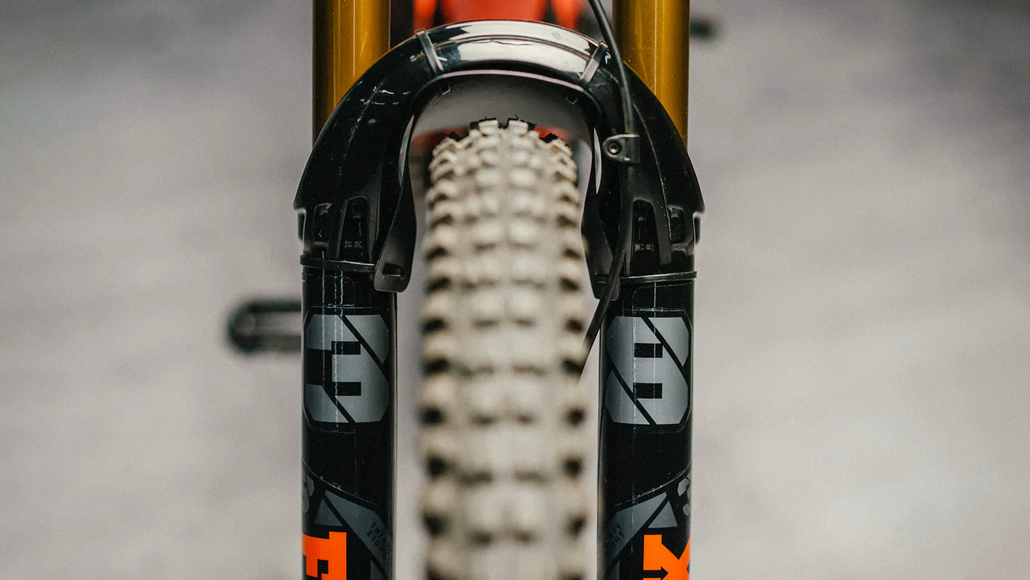 Crank and Fork Protection