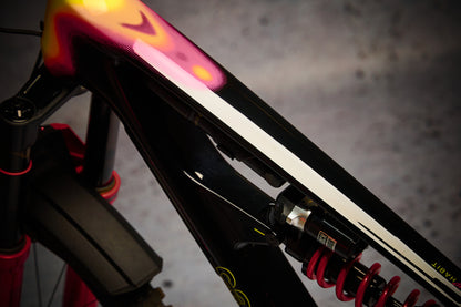 EVO MTB/Ebike Frame Protector