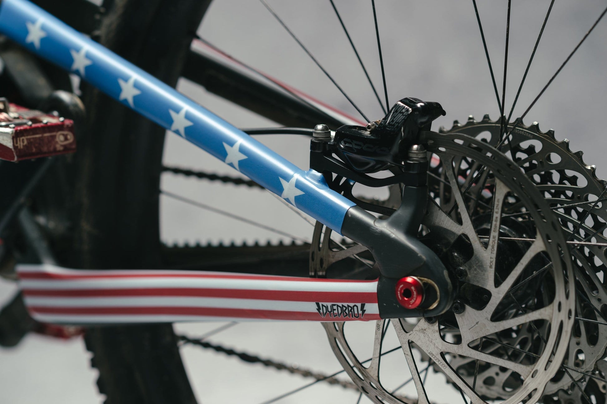 American Flag on Santa Cruz Megatower Chain Stays