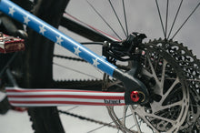 Load image into Gallery viewer, American Flag on Santa Cruz Megatower Chain Stays