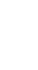 Aotearoa  pattern