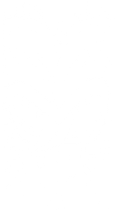 White / Pattern