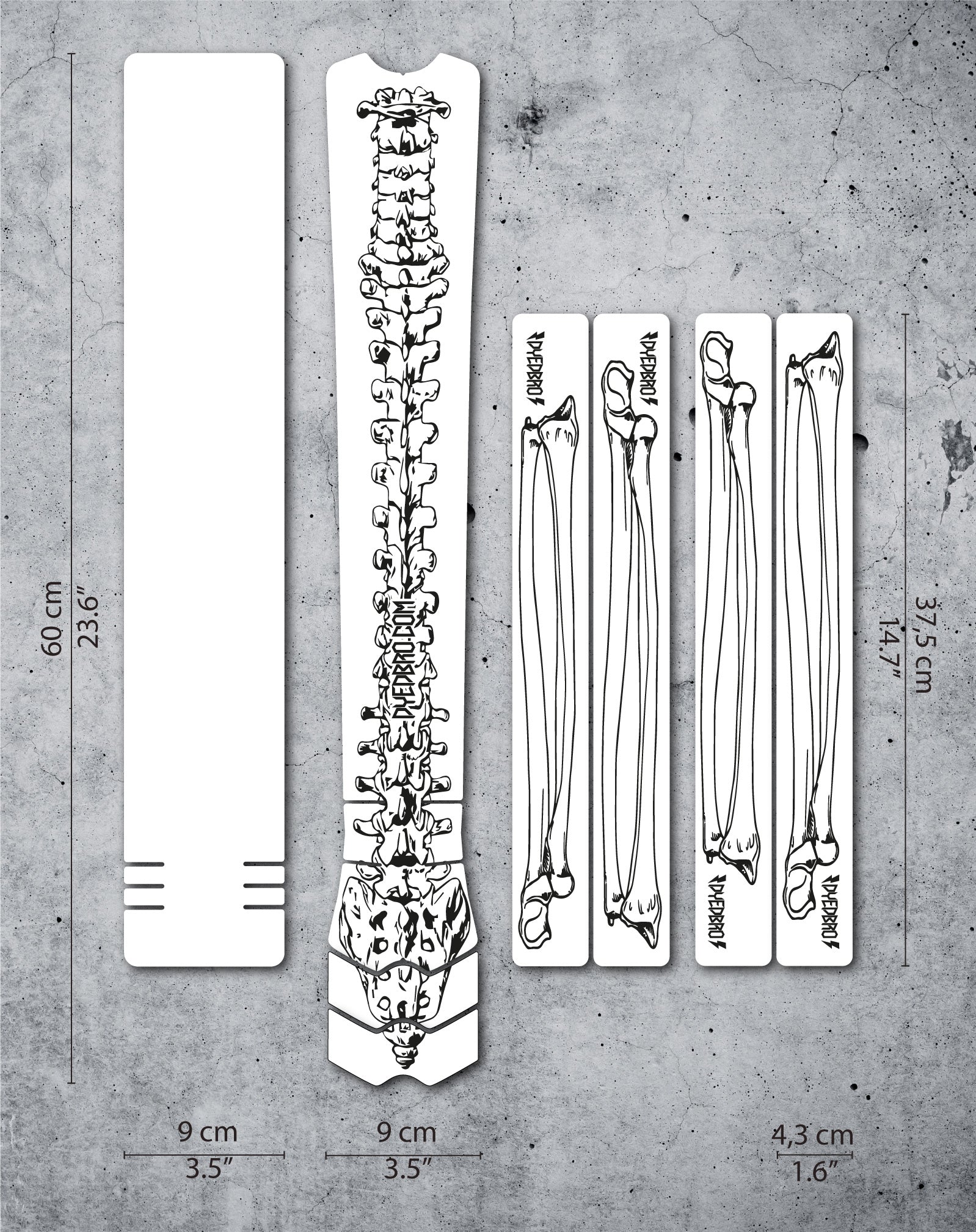 Bones vector