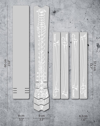 White / Vector