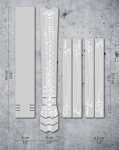 White / Vector