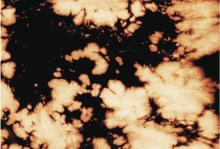 Load image into Gallery viewer, Pattern