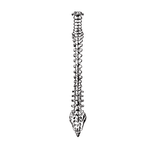 Bones  pattern