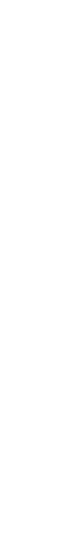 White / Pattern