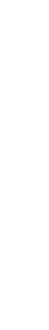 White / Pattern