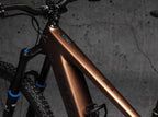 Black, Matt / Clear e-Bike black matt