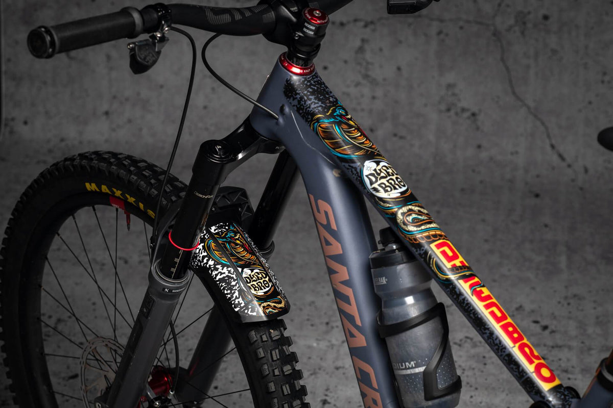 Santa cruz chameleon frame protection 2025