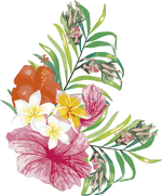 Hawaii  pattern