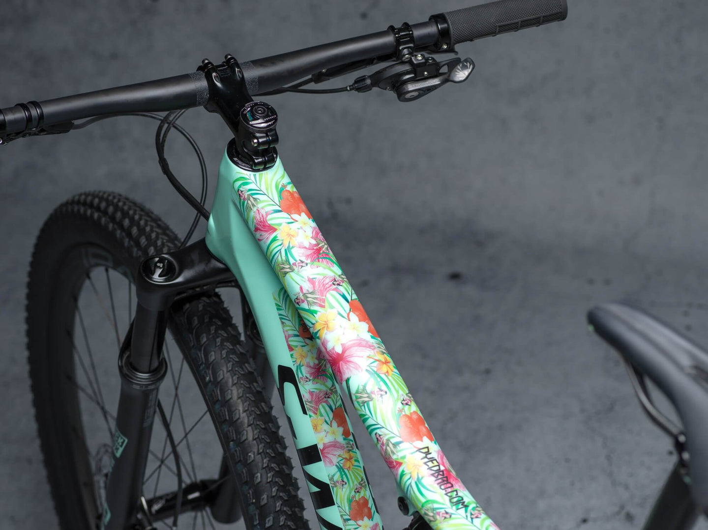 Hawaii design by DYEDBRO toptube shot