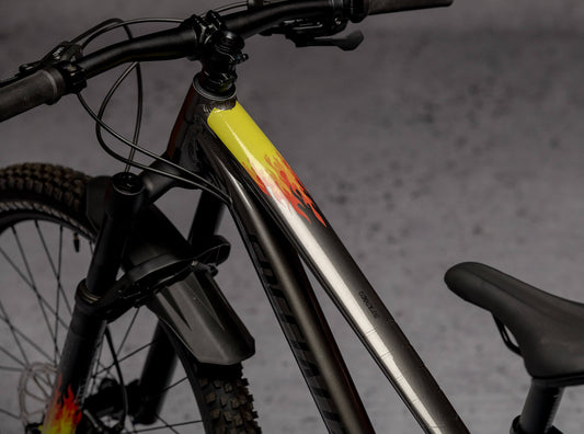 Distrito 1: Flames Kids 