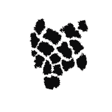 Load image into Gallery viewer, Black / Pattern