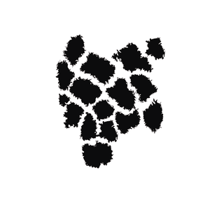 Black / Pattern