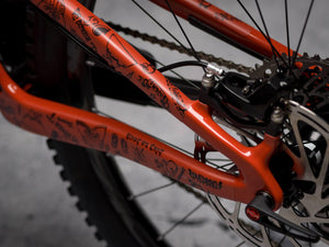 NZ Enduro 2018 by DYEDBRO chainstay shot