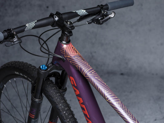 District 1 : Stay Free T. Couleur