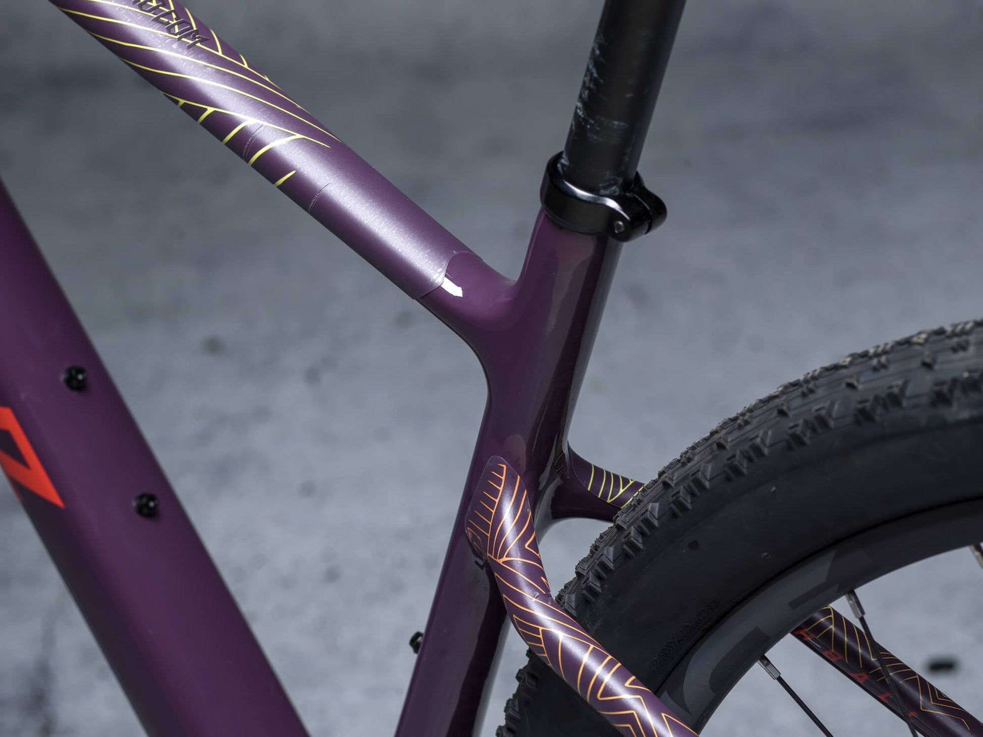 Stay Free design by DYEDBRO in seatstay closeup