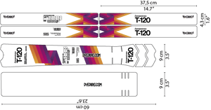 Vector