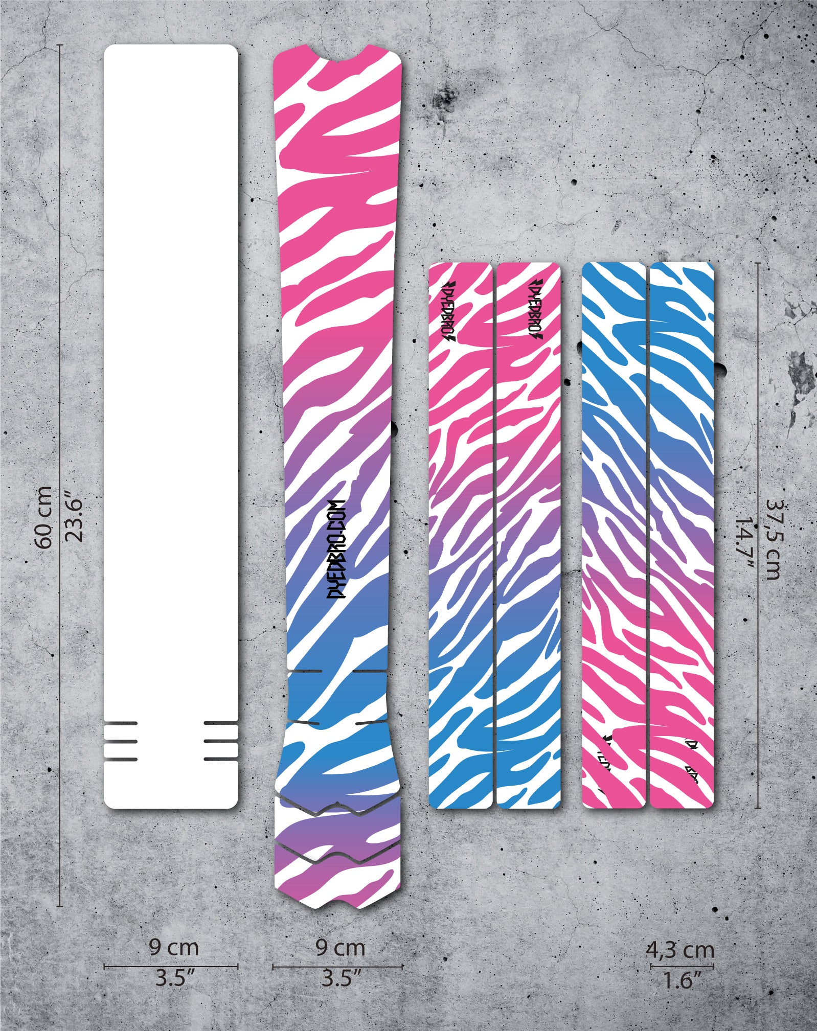Zebra Retro vector