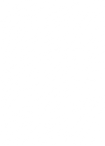 Zebra  pattern
